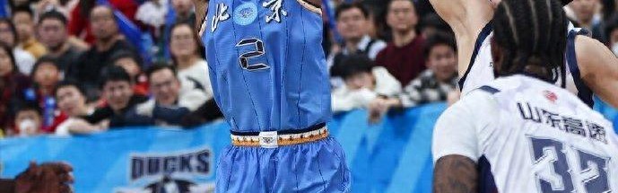 奇异果-高昂买断费+大合同！北京首钢签约新外援内幕，许利民挑了一个月